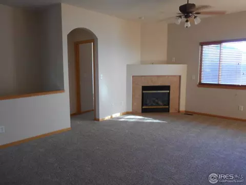 372 Buffalo Dr, Windsor, CO 80550 photo 3