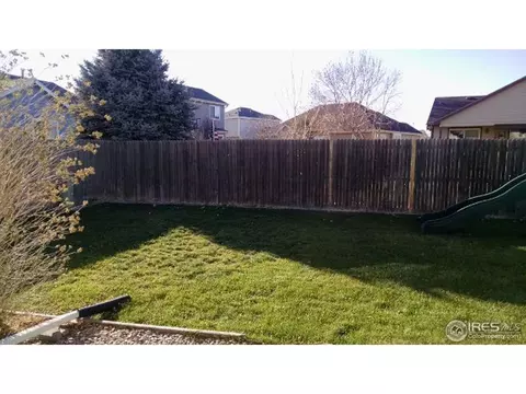 372 Buffalo Dr, Windsor, CO 80550 photo 24