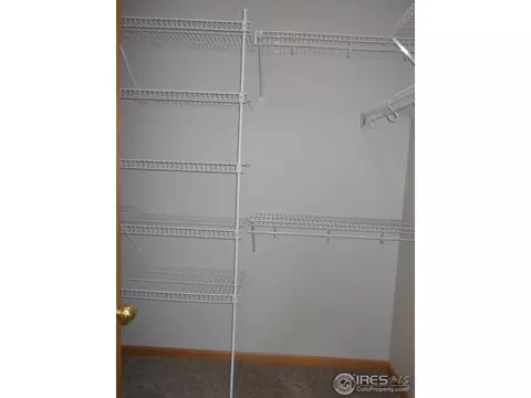 372 Buffalo Dr, Windsor, CO 80550 photo 17