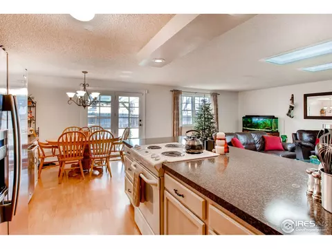 948 Juniper Dr, Windsor, CO 80550 photo 15