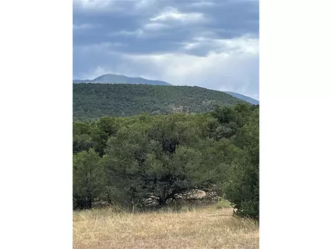 County Rd 531, Gardner, CO 81040 photo 21