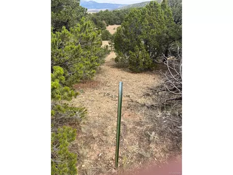 County Rd 531, Gardner, CO 81040 photo 26
