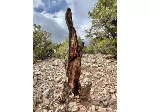 County Rd 531, Gardner, CO 81040 photo 23
