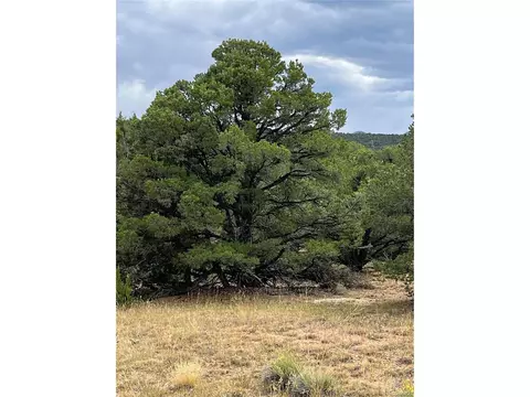 County Rd 531, Gardner, CO 81040 photo 22
