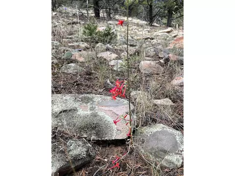 County Rd 531, Gardner, CO 81040 photo 10