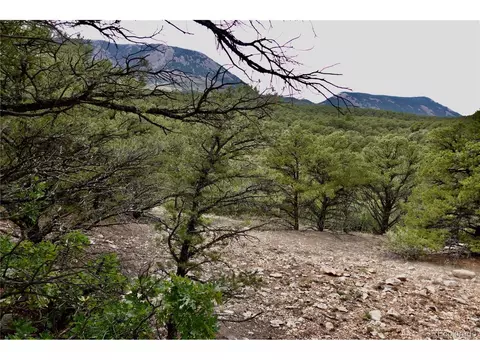 County Rd 531, Gardner, CO 81040 photo 6