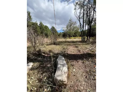 County Rd 531, Gardner, CO 81040 photo 13