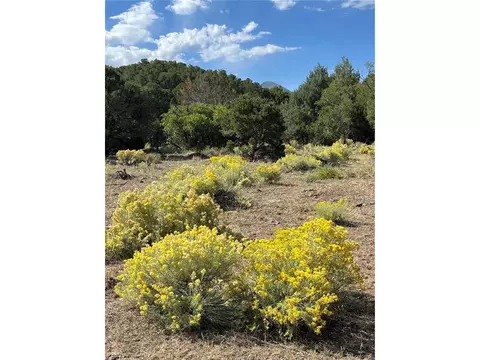 County Rd 531, Gardner, CO 81040 photo 8