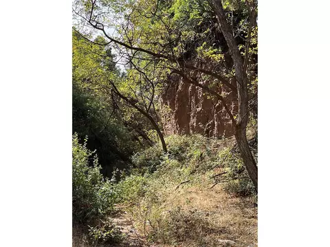 County Rd 531, Gardner, CO 81040 photo 16