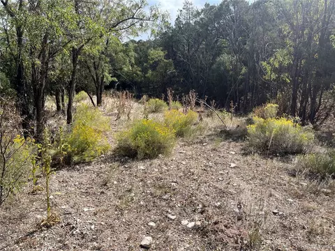 County Rd 531, Gardner, CO 81040 photo 24