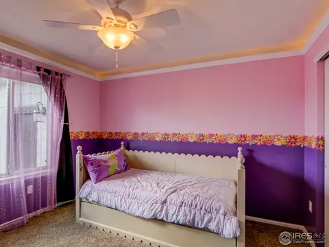 8300 E 145th Pl, Thornton, CO 80602 photo 17