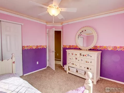 8300 E 145th Pl, Thornton, CO 80602 photo 18