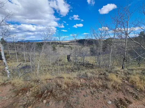 908 Raven Way, Como, CO 80432 photo 22