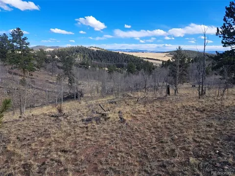 908 Raven Way, Como, CO 80432 photo 23
