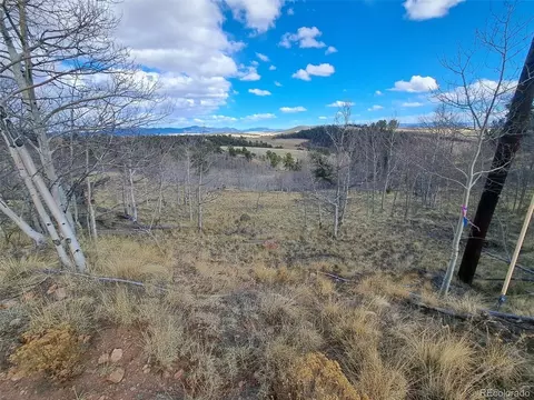908 Raven Way, Como, CO 80432 photo 24