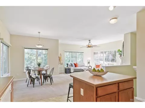 8105 E 11th Ave #4E, Denver, CO 80220 photo 10