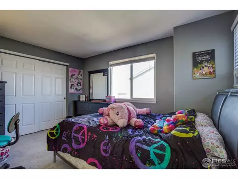 13777 Cook St, Thornton, CO 80602 photo 15
