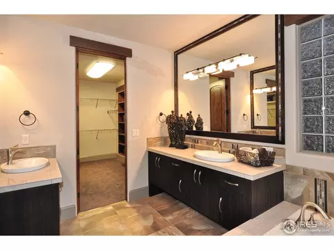 6696 Murano Dr, Windsor, CO 80550 photo 12