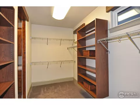 6696 Murano Dr, Windsor, CO 80550 photo 15