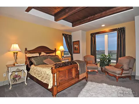 6696 Murano Dr, Windsor, CO 80550 photo 11