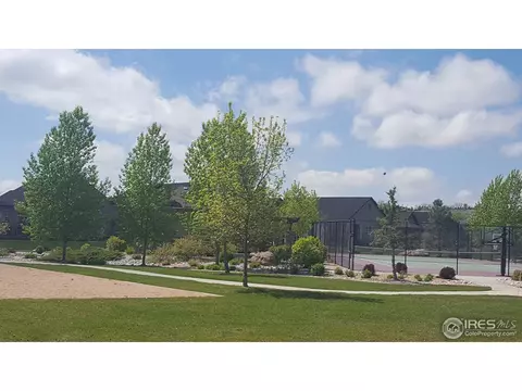 2085 Vineyard Dr, Windsor, CO 80550 photo 2