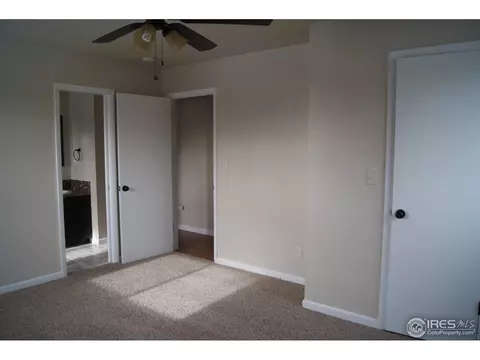 815 Elm St, Windsor, CO 80550 photo 11