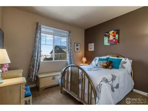 6265 Union Ave, Firestone, CO 80504 photo 28