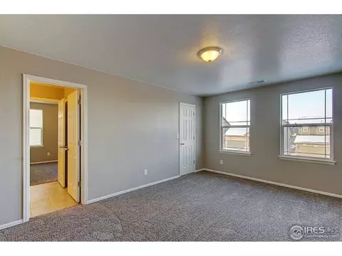 2245 Stonefish Dr, Windsor, CO 80550 photo 30