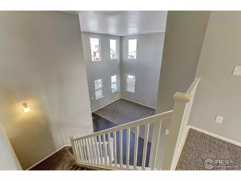 2245 Stonefish Dr, Windsor, CO 80550 photo 19