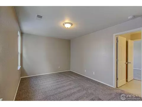 2245 Stonefish Dr, Windsor, CO 80550 photo 28