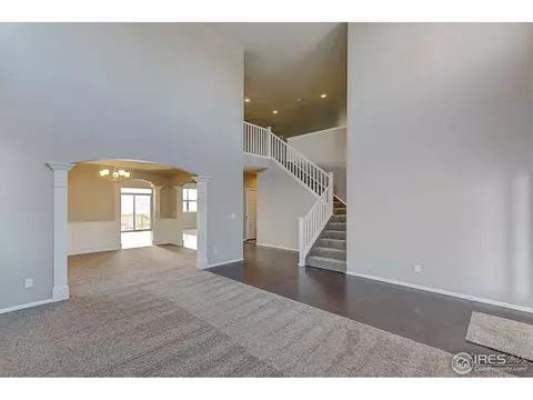 2245 Stonefish Dr, Windsor, CO 80550 photo 5