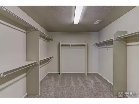 2245 Stonefish Dr, Windsor, CO 80550 photo 25