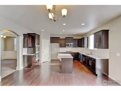 2245 Stonefish Dr, Windsor, CO 80550 photo 10