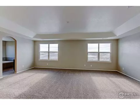 2245 Stonefish Dr, Windsor, CO 80550 photo 21