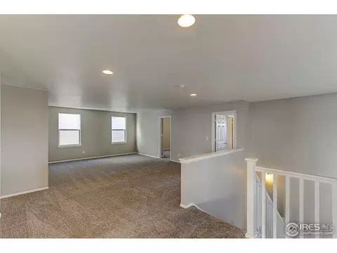2245 Stonefish Dr, Windsor, CO 80550 photo 20