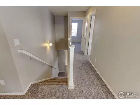 2247 Stonefish Dr, Windsor, CO 80550 photo 15