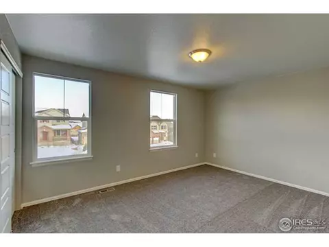 2247 Stonefish Dr, Windsor, CO 80550 photo 23