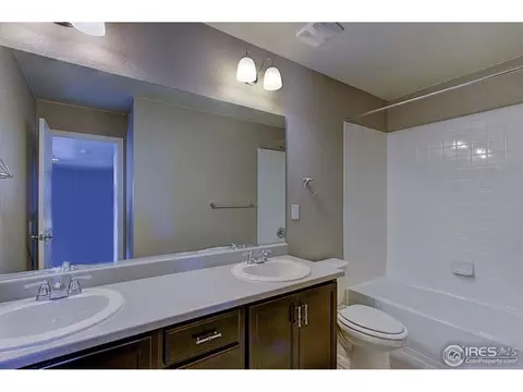 2247 Stonefish Dr, Windsor, CO 80550 photo 25