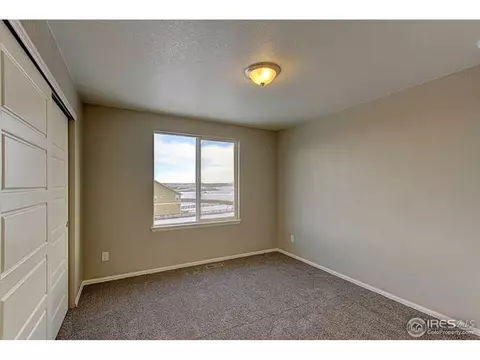 2247 Stonefish Dr, Windsor, CO 80550 photo 24