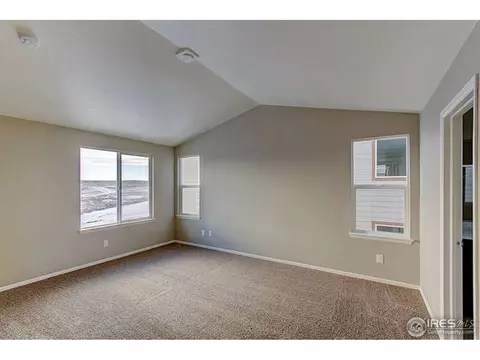2247 Stonefish Dr, Windsor, CO 80550 photo 17