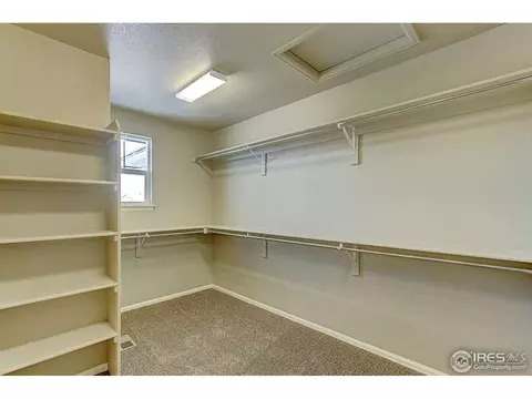 2247 Stonefish Dr, Windsor, CO 80550 photo 22