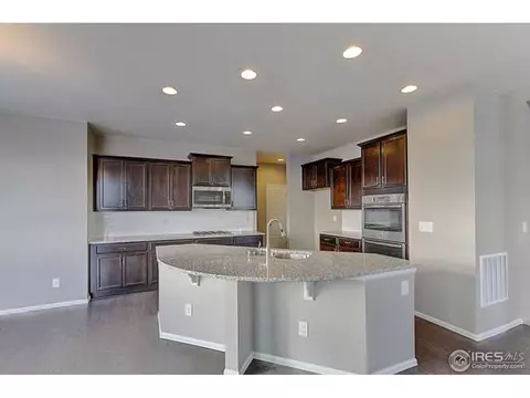 2247 Stonefish Dr, Windsor, CO 80550 photo 9