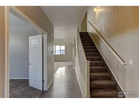 2247 Stonefish Dr, Windsor, CO 80550 photo 3