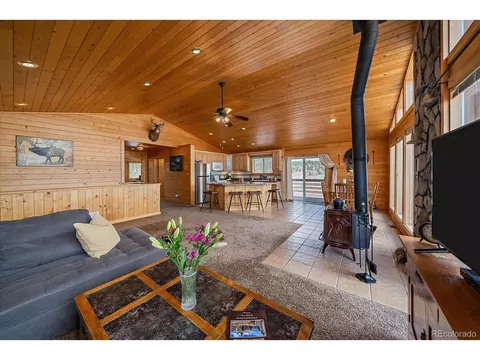 Living - 64 Flint Cir, Como, CO 80432 photo 4 of 7