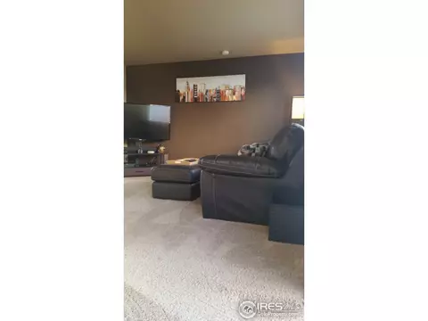 2237 E 103rd Ct, Thornton, CO 80229 photo 14