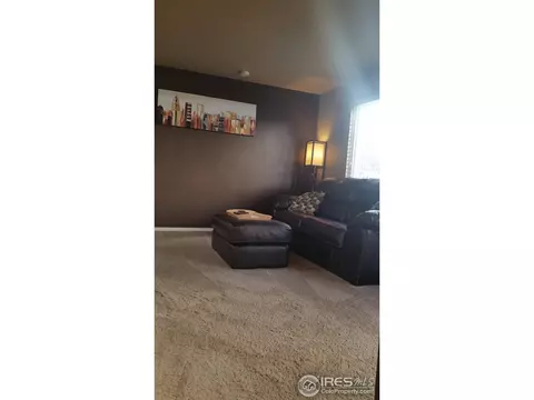 2237 E 103rd Ct, Thornton, CO 80229 photo 12
