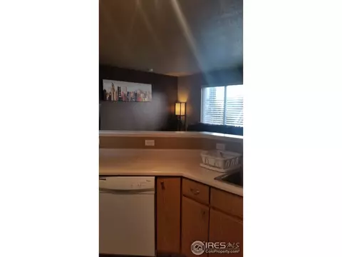 2237 E 103rd Ct, Thornton, CO 80229 photo 13