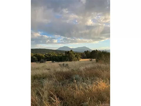 3 Tres Amigos Trl, Walsenburg, CO 81089