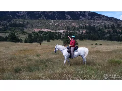 858 Marshall Rd, Boulder, CO 80305 photo 29