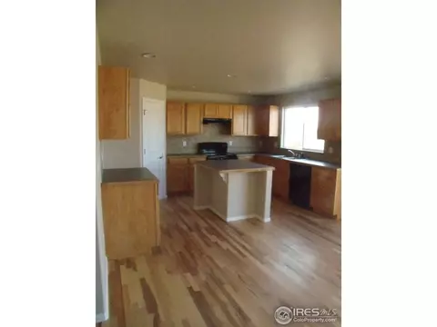 2065 Grain Bin Dr, Windsor, CO 80550 photo 5